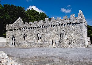Castles of Munster, Halla Mór or Great Hall, Newcastle West, Limerick - geograph.org.uk - 1392685.jpg