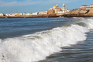 Catedral of Cadiz