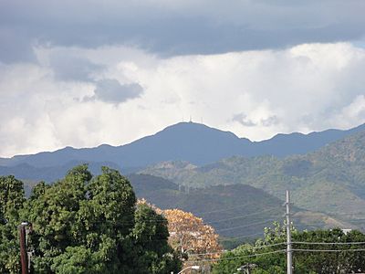 Cerro de Punta as seen from Museo de Arte de Ponce, Ponce, Puerto Rico (DSC03460)