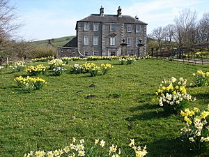 Daffodils at Castern Hall - geograph.org.uk - 1551250
