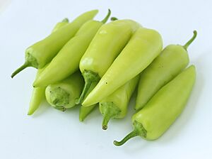 Dangjo chili peppers