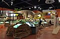 Dinosaur hall-DinosaurIsle1