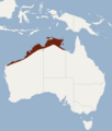 Distribution of Nyctophilus arnhemensis