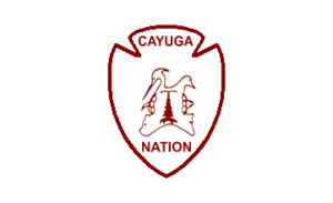 Flag of the Cayuga Nation of New York.PNG