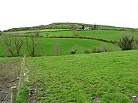 Freughlough Townland - geograph.org.uk - 407595