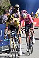 Giro 2023 GIR30074 roglic thomas (52941145351)