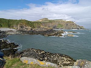 Gob ny Port Mooar. Isle of Man. - geograph.org.uk - 44556.jpg
