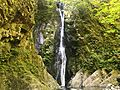 Goldstream Provincial Park, Langford, Canada Jun 18, 2018 14-02-53