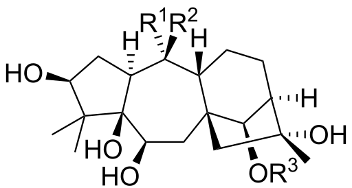 Grayanotoxins