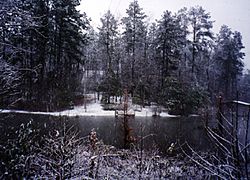 Hickory Hills Lake Snow