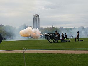Hyde Park gun salute 24 April 2018 03