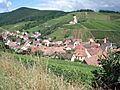 Katzenthal8