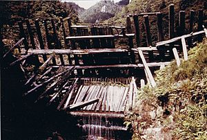 Kauri Dam on Great Barrier Island 1966