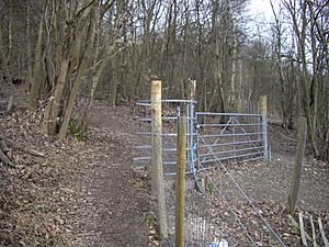 Kissing gate in Trosley Country Park - geograph.org.uk - 1752022.jpg