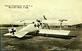 LFG Roland C.II RRQ
