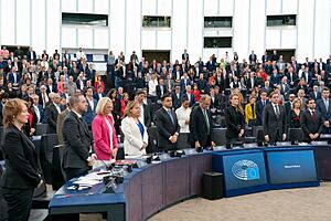 MEPs condemn Hamas attack on Israel and call for a humanitarian pause - 53271623613