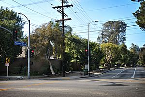 Mandeville Cyn Rd Looking North From Sunset Blvd