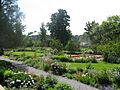 Maplelawn Gardens