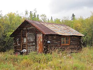Miner's Cabin, Chicken, Alaska