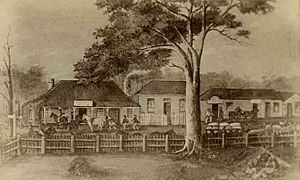 Mitchells Hotel Mount Gambier 1856