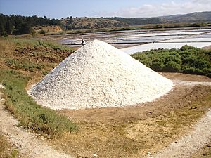 Montículo de Sal en Cahuil
