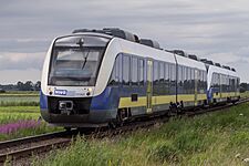 NWB Lint 41 zwischen Varel und Jaderberg (Juni 2011)