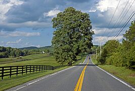 NY 199 E of Hammertown 2014