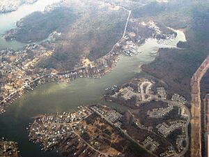 Aerial image of Chestnut Hill Cove (Apartment complex on the bottom right)