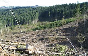 Northern Oregon Coast Range logging