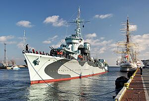ORP Błyskawica w nowym kamuflażu - 02-01-2012