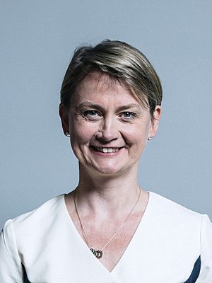 Official portrait of Yvette Cooper crop 2