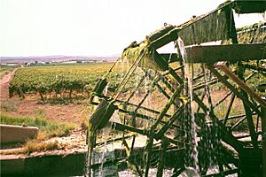 Orange River Wine Farm