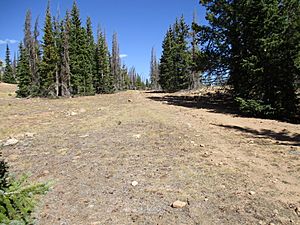 Original Monarch Pass, Sawatch Range, Gunnison and Chaffee Counties, Colorado, USA 02