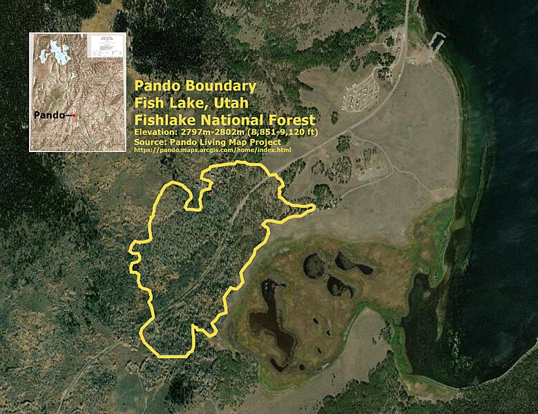 Pando Boundary Map