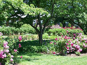 Pardee Rose Garden