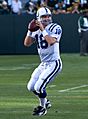 Peyton Manning passing