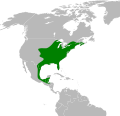 Pipistrellus Perimyotis subflavus map.svg