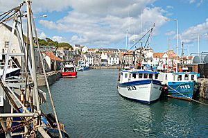 Pittenweem Harbour - geograph.org.uk - 176722