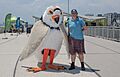 Plover Day at Rockaway Beach (60129)