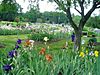 Presby Memorial Iris Gardens Horticultural Center