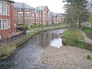 River Skell - Harrogate Road - geograph.org.uk - 1246109