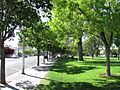 Robinson Park, Albuquerque NM