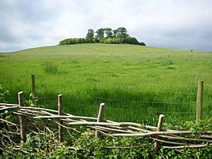 Round Hill, Wittenham Clumps