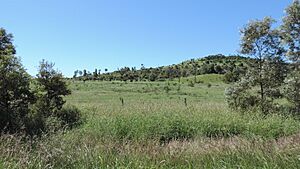 Rural landscape, Burnett Highway, Thangool, 2014