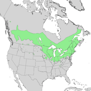 Salix discolor range map 1.png