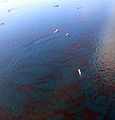 Skimming Oil in Gulf of Mexico