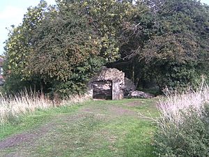 Sleaford Castle remains