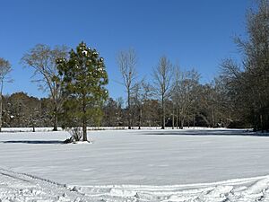Snowfall in Century, Florida on January 22, 2025