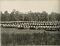 The photographic history of the Civil War - thousands of scenes photographed 1861-65, with text by many special authorities (1911) (14739821206)