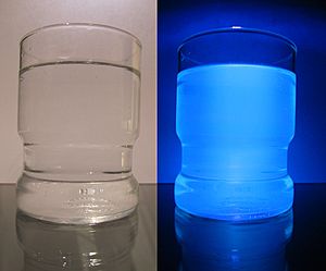 Tonic Water unter Normal- und UV-Licht